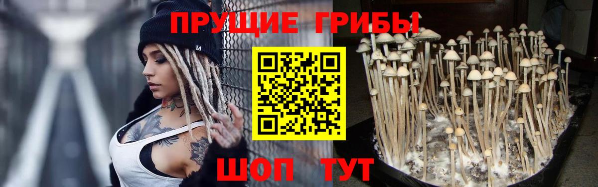 Галлюциногенные грибы Cubensis Феодосия